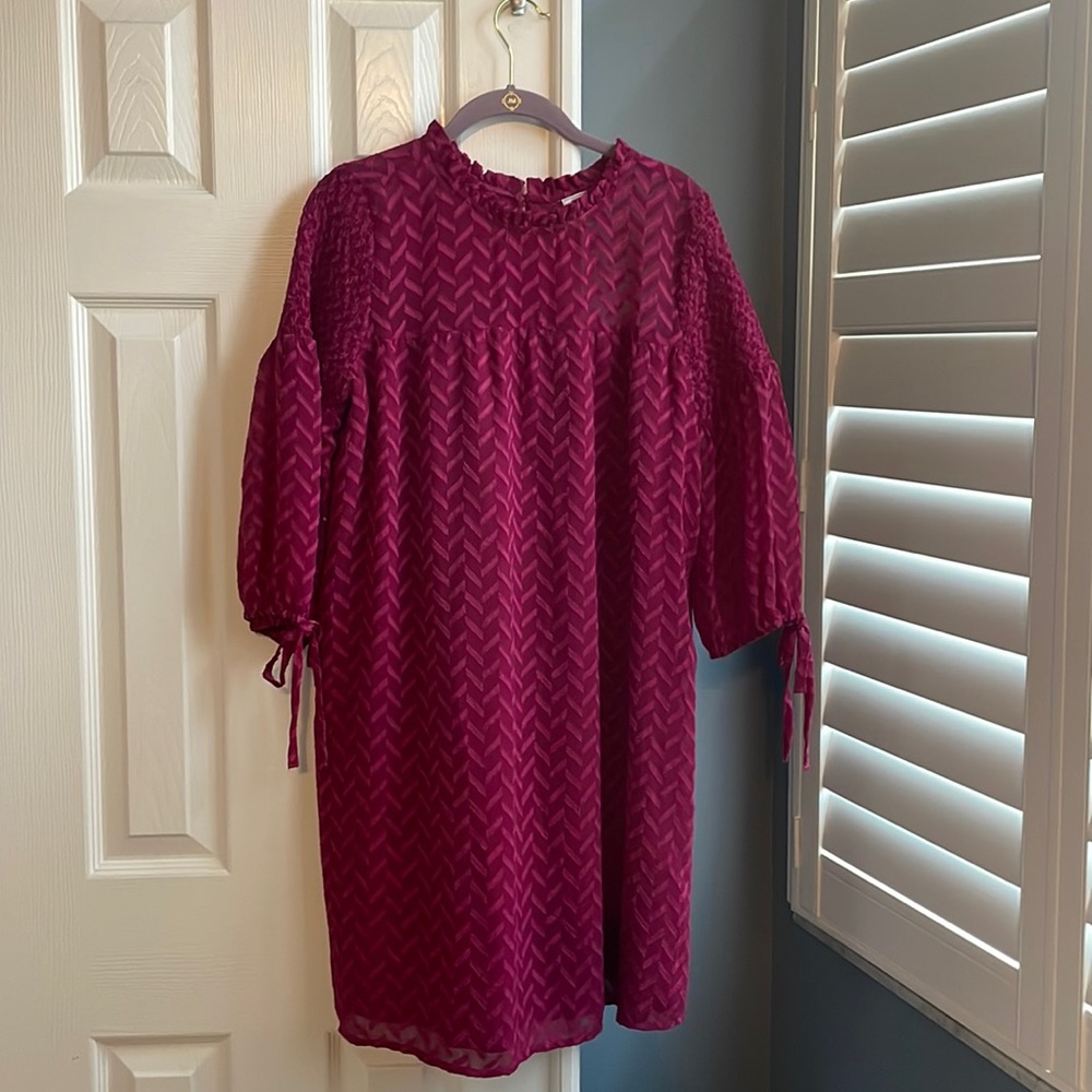 Susina Size Medium long sleeve dress. Worn once. Bought from Nordstrom Rack